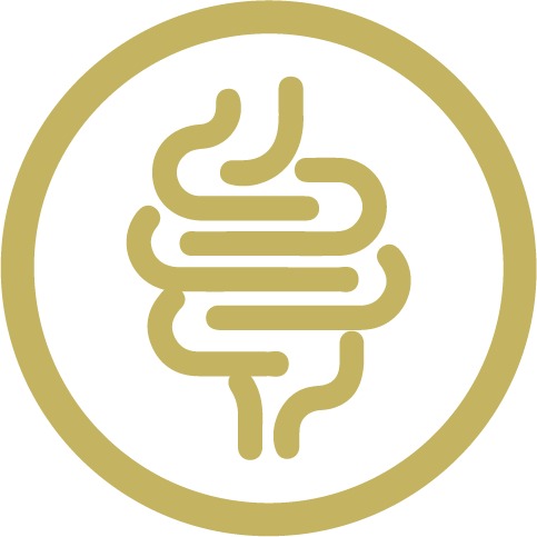 Eubioticall microbiota stip-x stip x